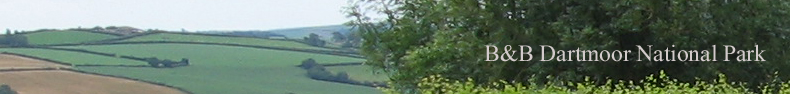 B&B Dartmoor Devon